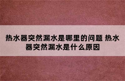 热水器突然漏水是哪里的问题 热水器突然漏水是什么原因